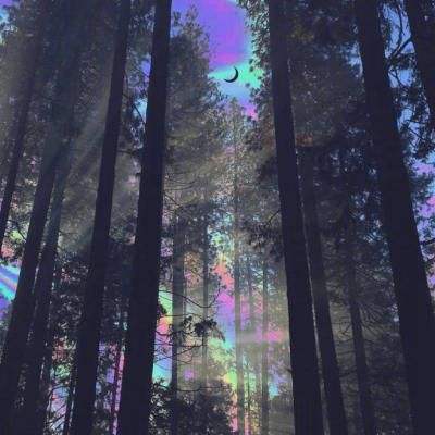 报告发现：AI 与机器人程序已正式接管互联网