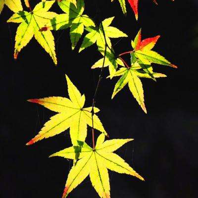 患者没挂上号 医生蹲在地上看CT片