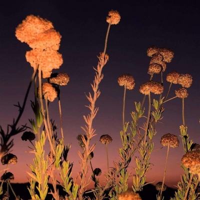 美国初请失业救济人数小幅升至21万 持续申领者创近两年最低纪录